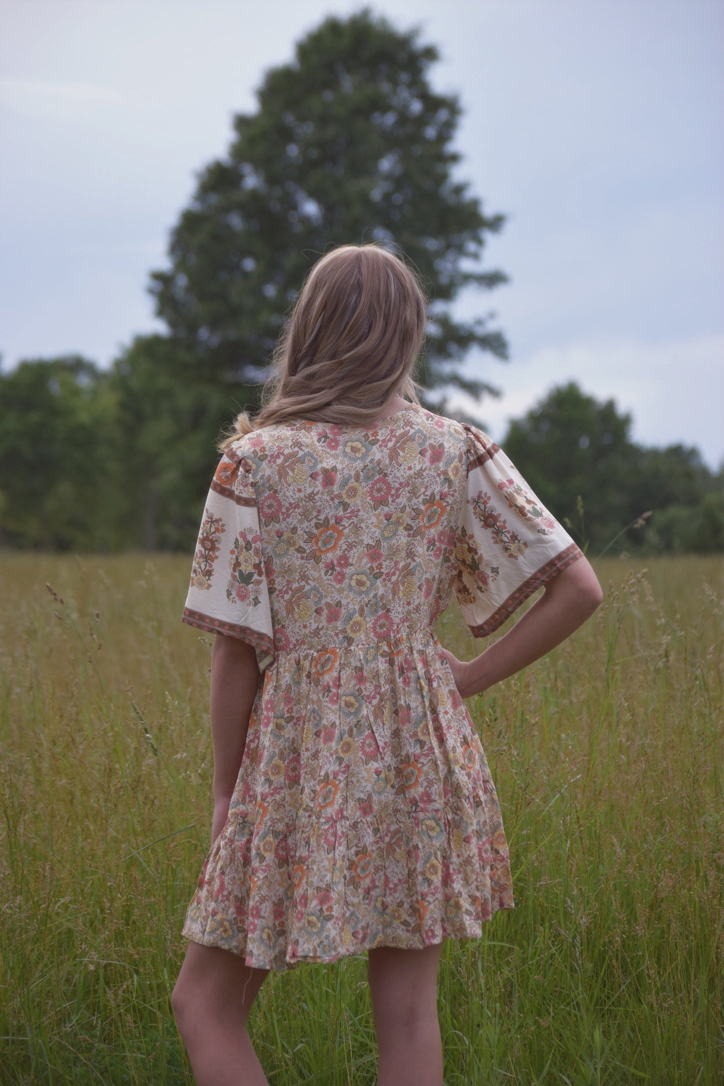 Folklore Mini Dress