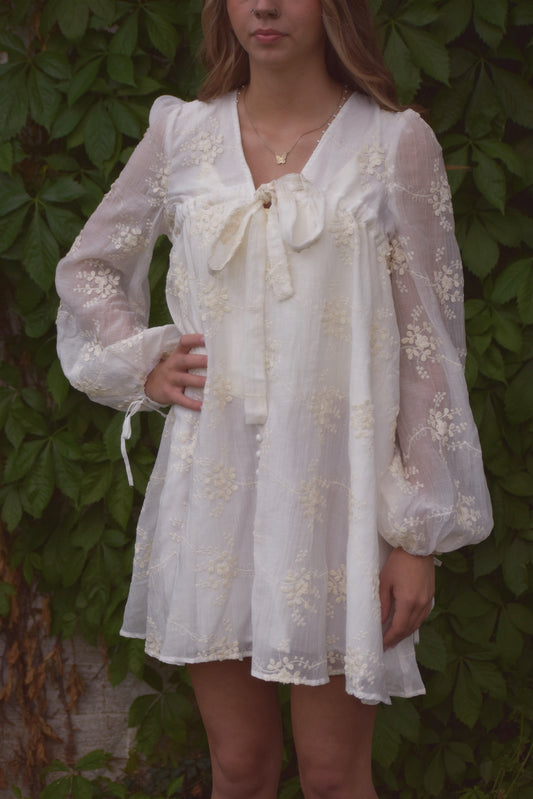 Winifred Embroidered Dress